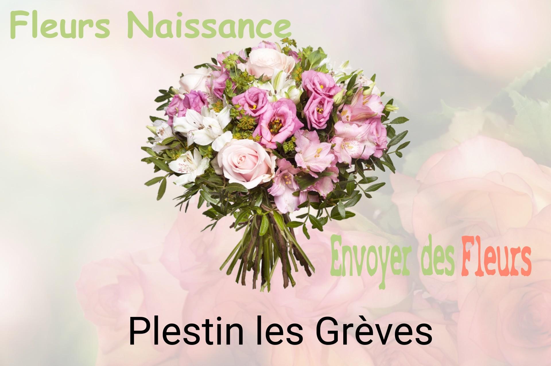 Bouquet de fleurs de naissance livré à Plestin-les-Grèves
